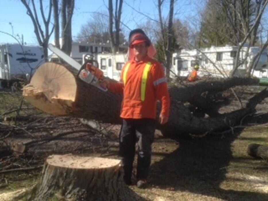 Images Émondage Insta-Coupe Inc Service d'Arbres