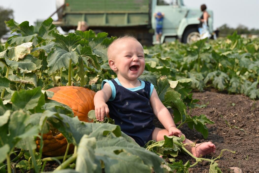 Images Charlotte Lake Farms