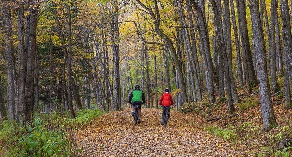 Images Freewheeling Adventures