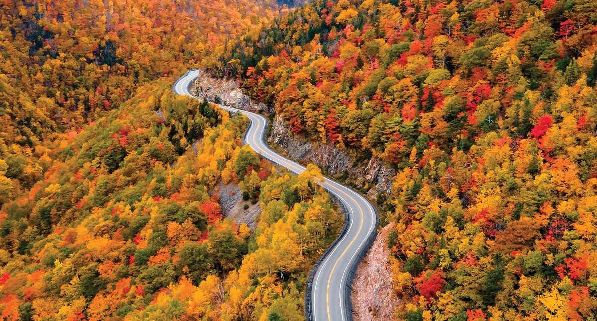 Images Freewheeling Adventures