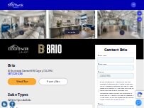 Website Screenshot BRIO