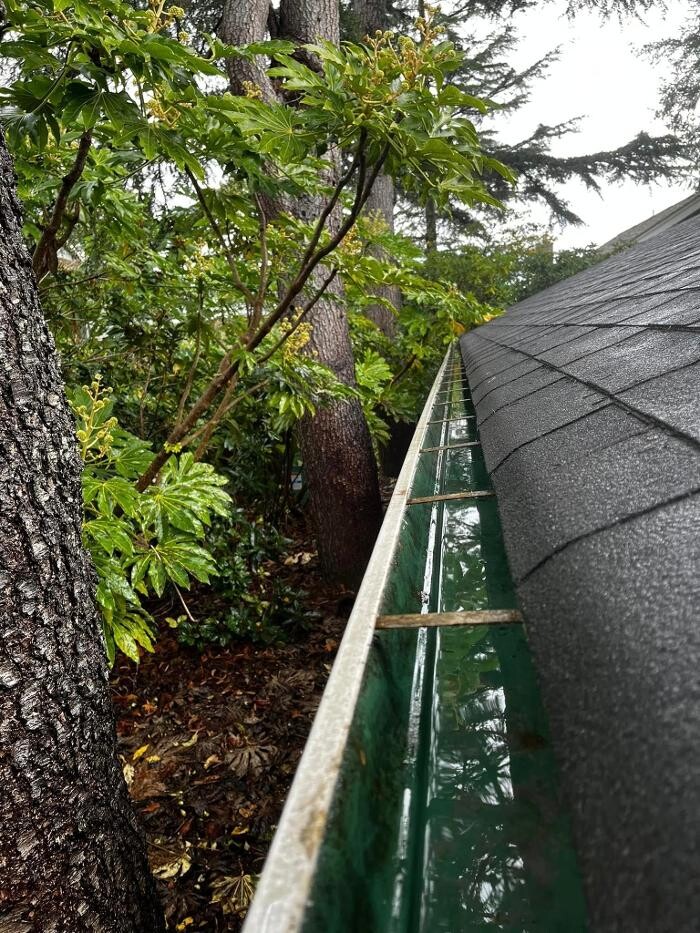 Images Campbell River Gutter Cleaning & Property Maintenance