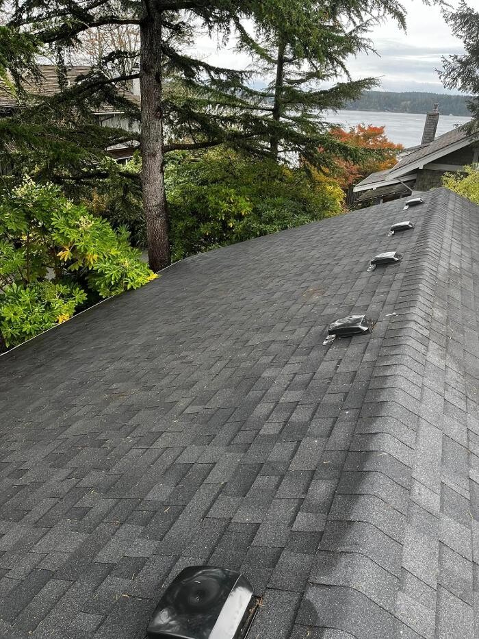 Images Campbell River Gutter Cleaning & Property Maintenance