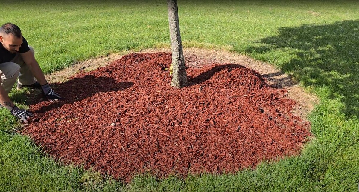 Images Scape It - Landscaping And Grading