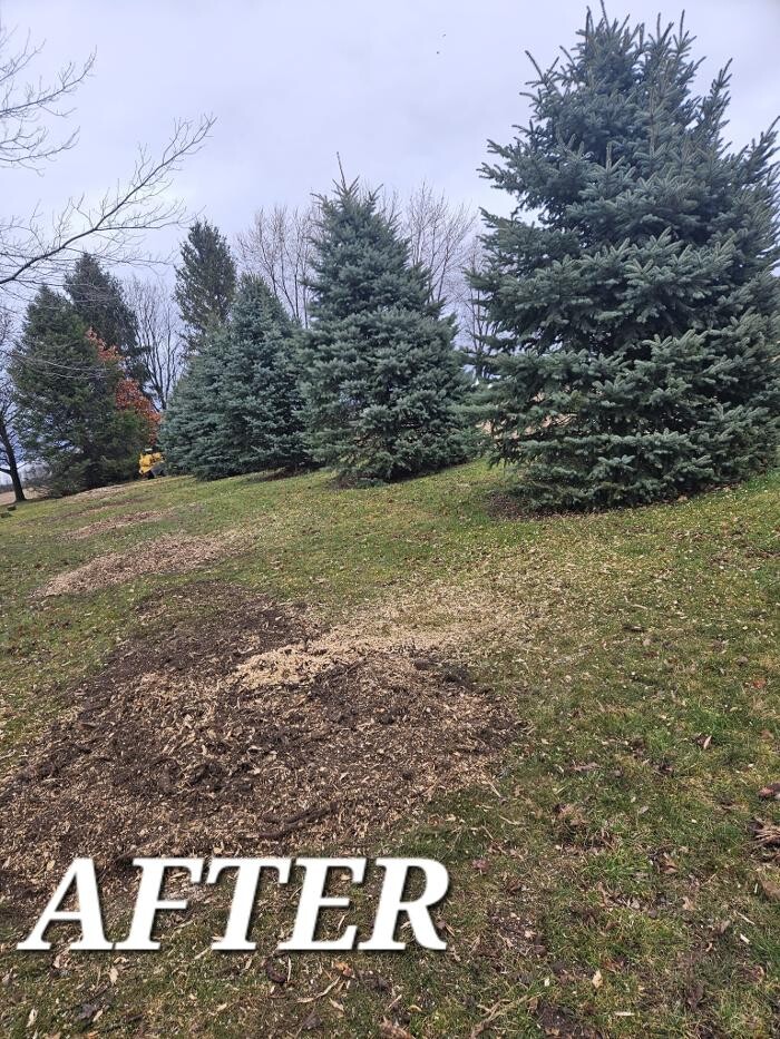 Images DTE Stump Grinding