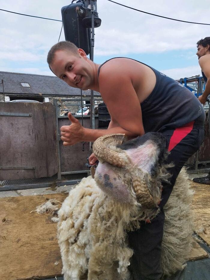 Images Kuepfer Custom Shearing