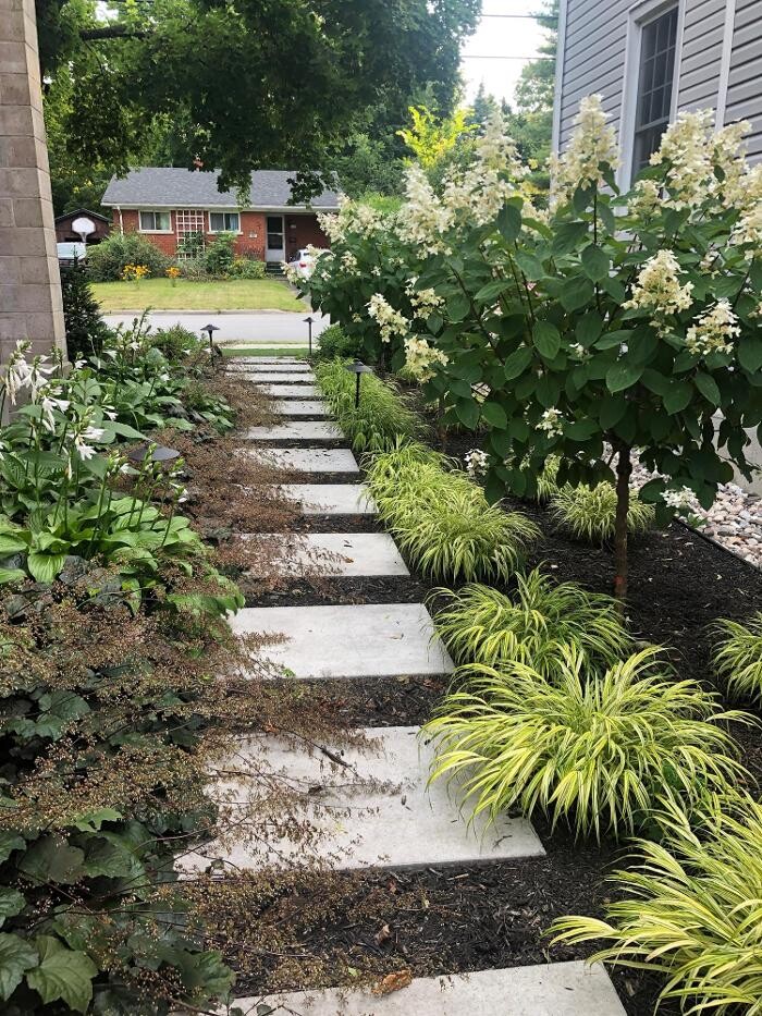 Images Welwyn Wong Landscape Design