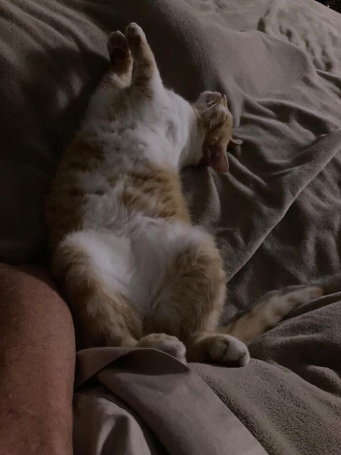 Images Wilson's Tile & Flooring