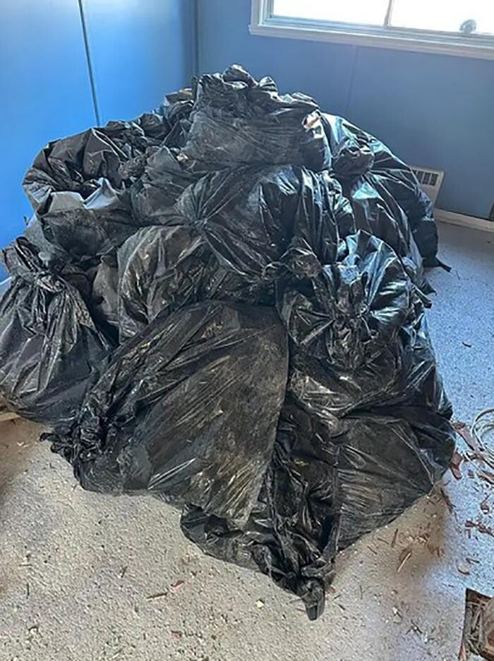 Images Junk removal Pro
