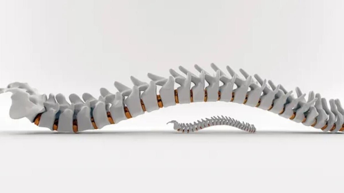 Images Westview Chiropractic and Wellness Centre