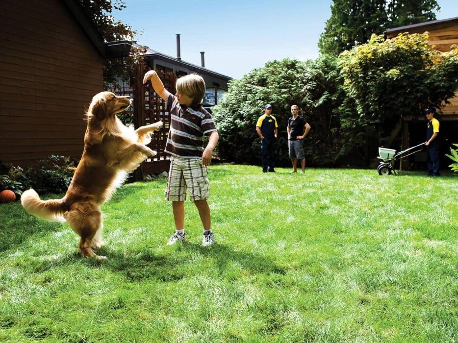 Images BUR-HAN Garden & Lawn Care