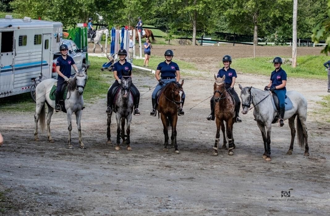 Images Phoenix Stables