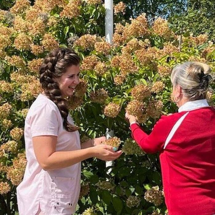 Images Xena Home Care