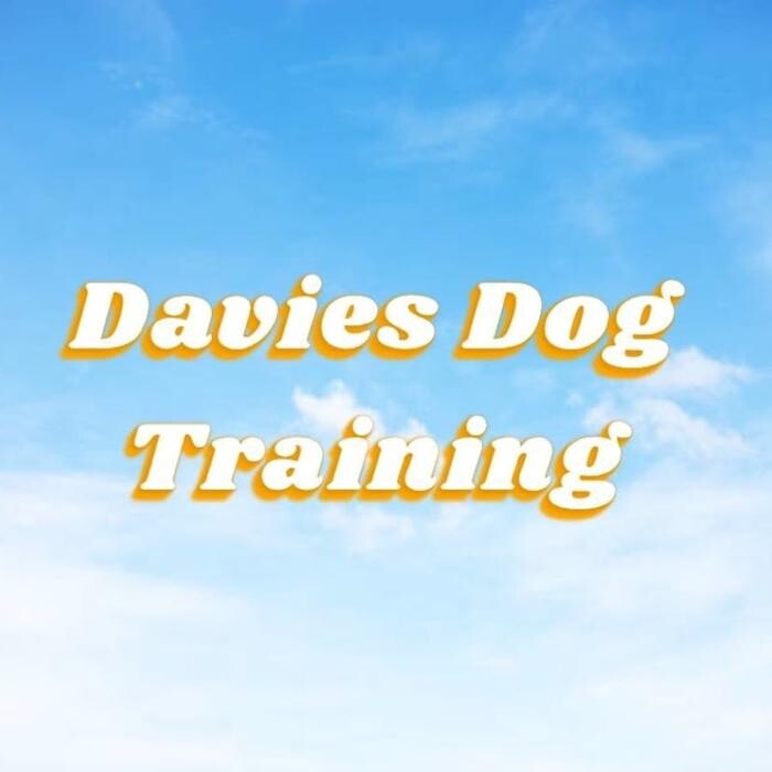 Images Davies Dog Training