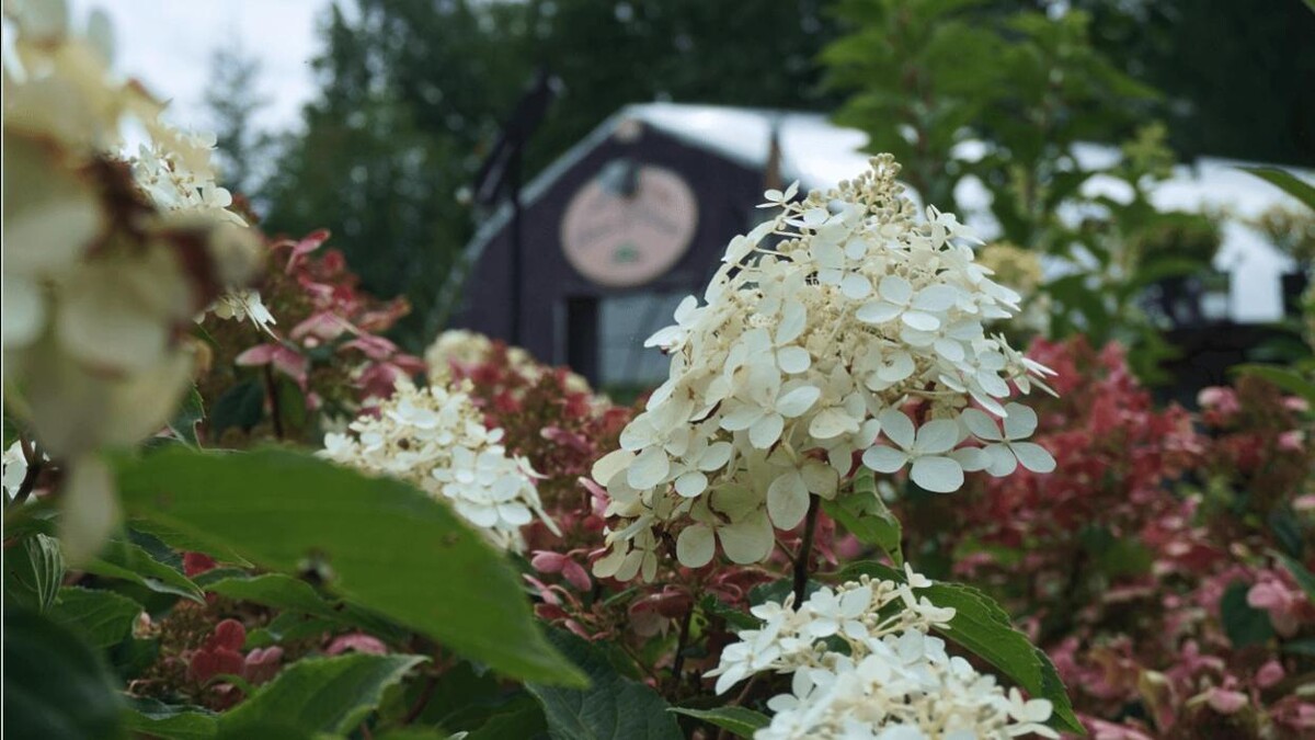 Images Jardin Pro | Aménagement Paysager, Entretien & Centre Jardin Sherbrooke