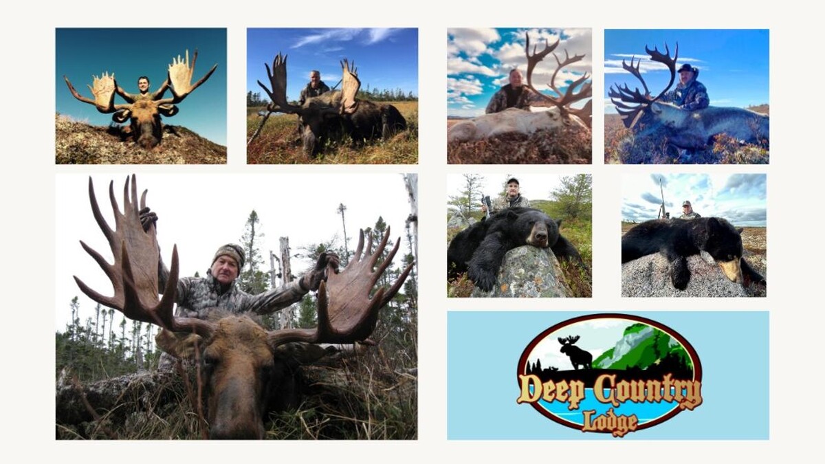 Images Deep Country Lodge