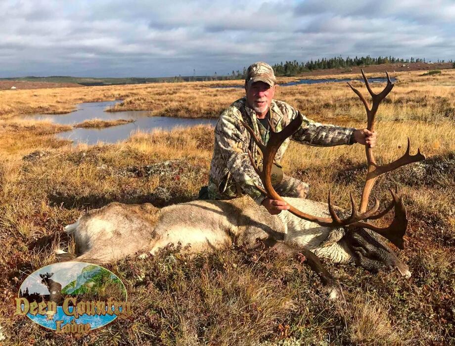 Images Deep Country Lodge