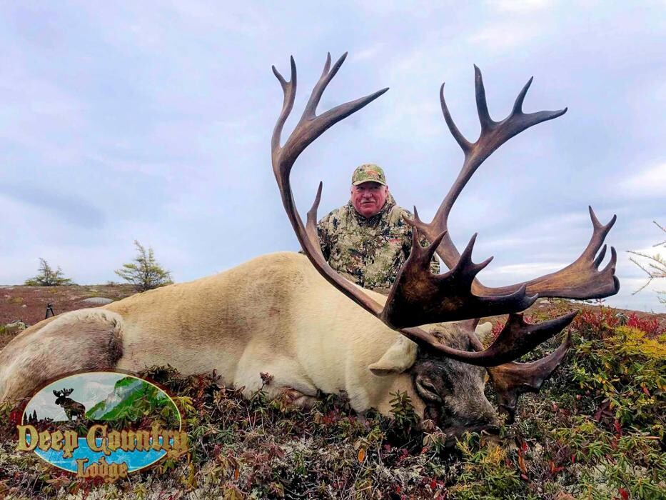 Images Deep Country Lodge