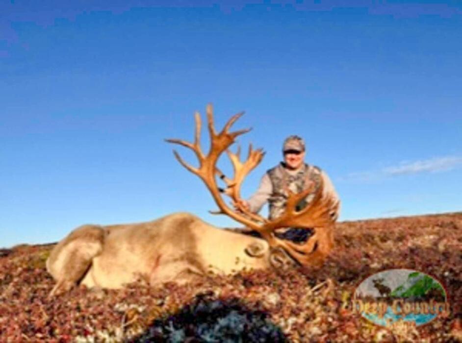 Images Deep Country Lodge