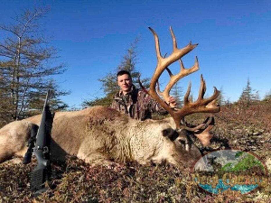 Images Deep Country Lodge