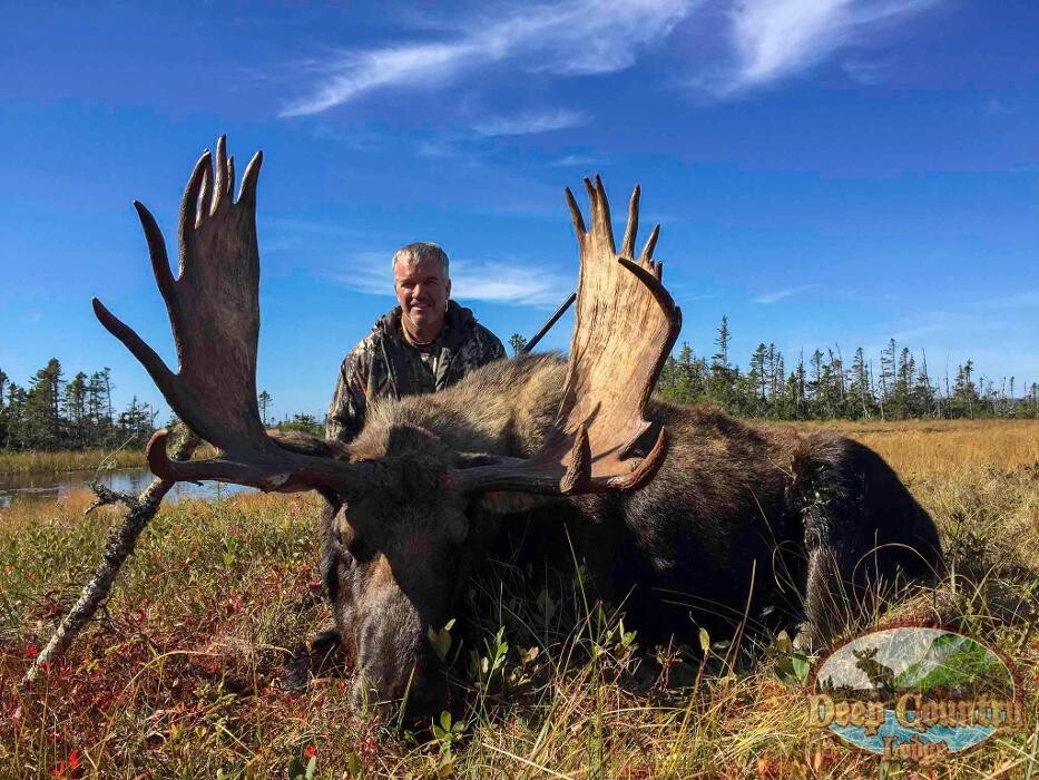 Images Deep Country Lodge