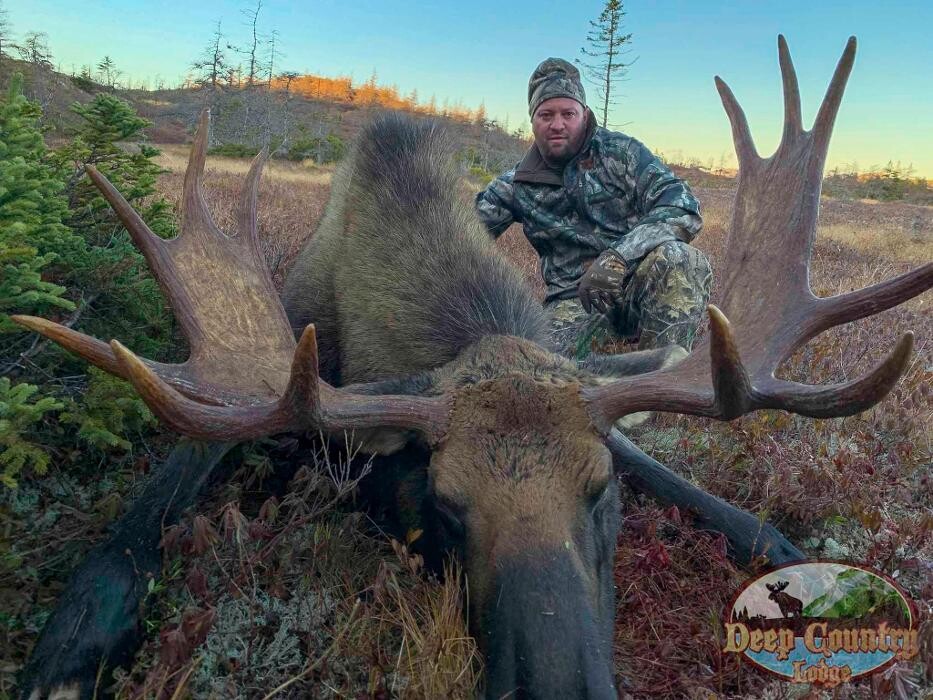 Images Deep Country Lodge