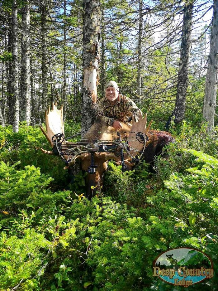 Images Deep Country Lodge