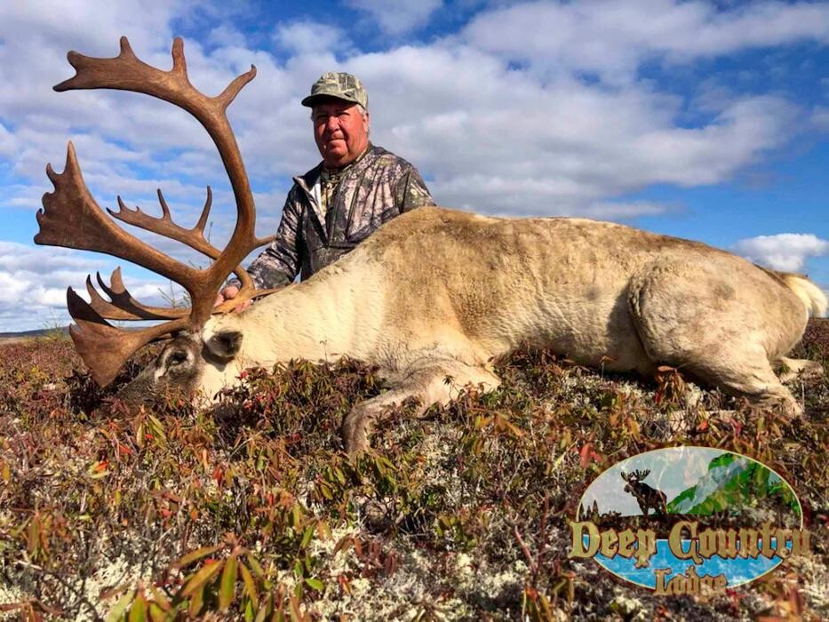 Images Deep Country Lodge