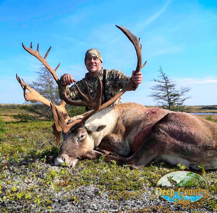 Images Deep Country Lodge