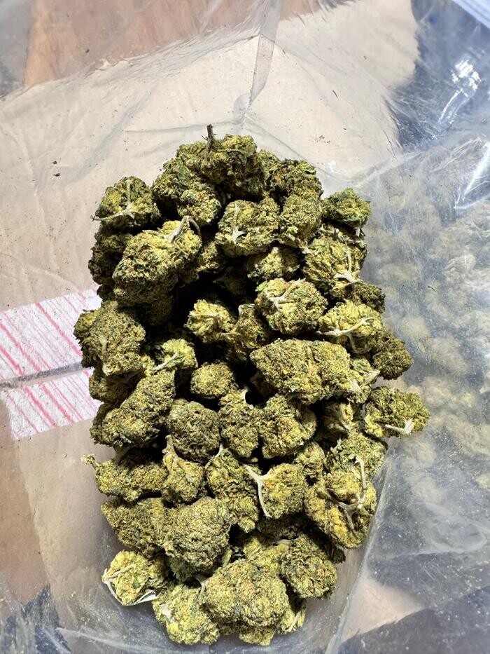 Images MARYJANE HOUSE OF GREENS