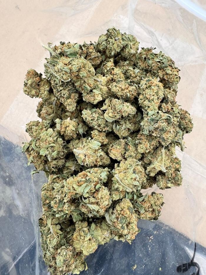 Images MARYJANE HOUSE OF GREENS