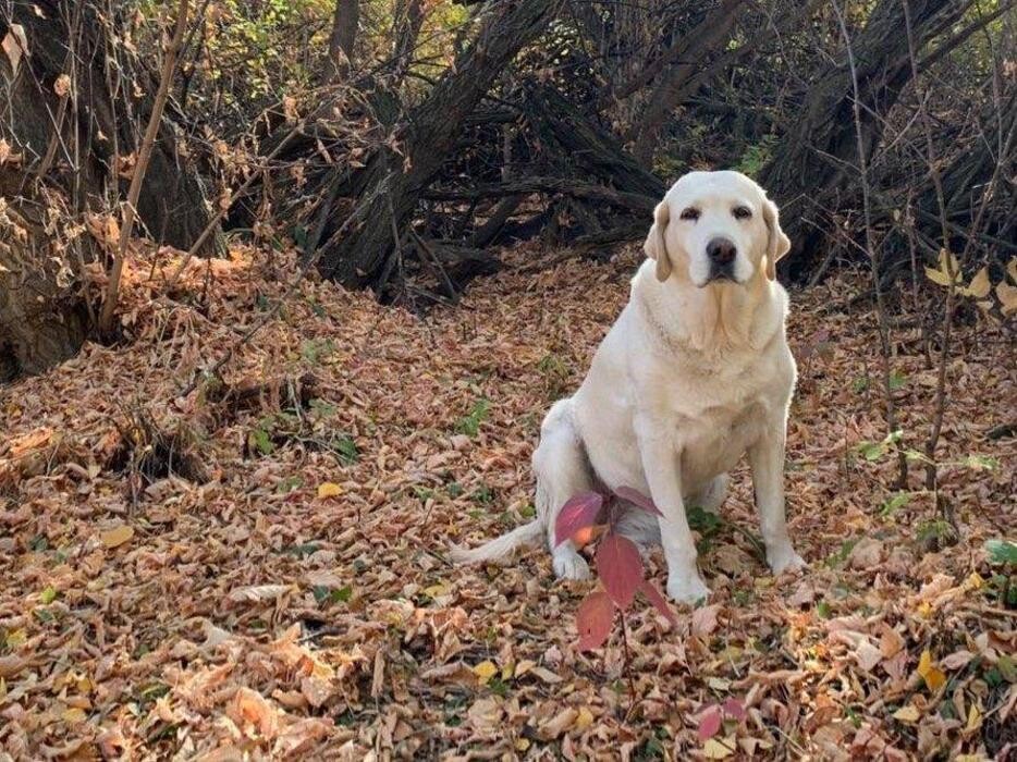 Images The Sunny Spot