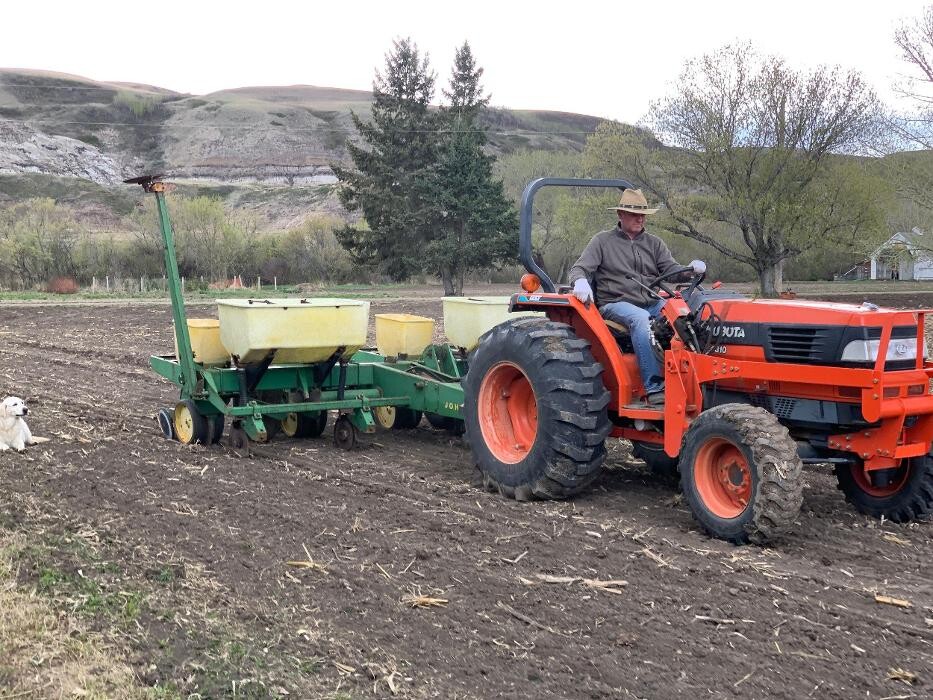 Images The Sunny Spot