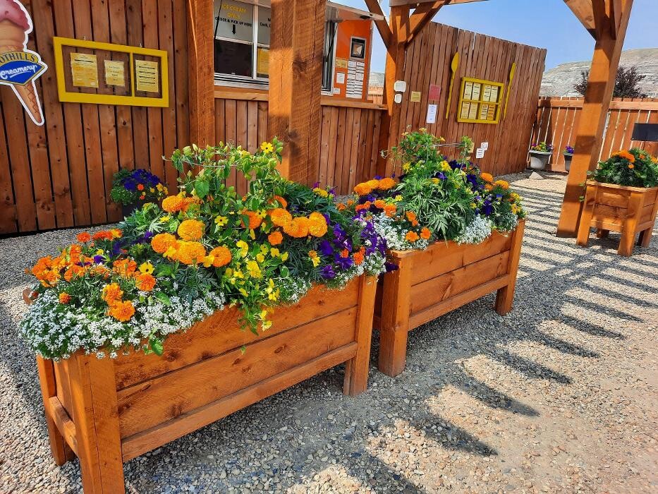 Images The Sunny Spot