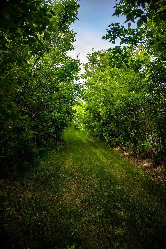 Images The Sunny Spot