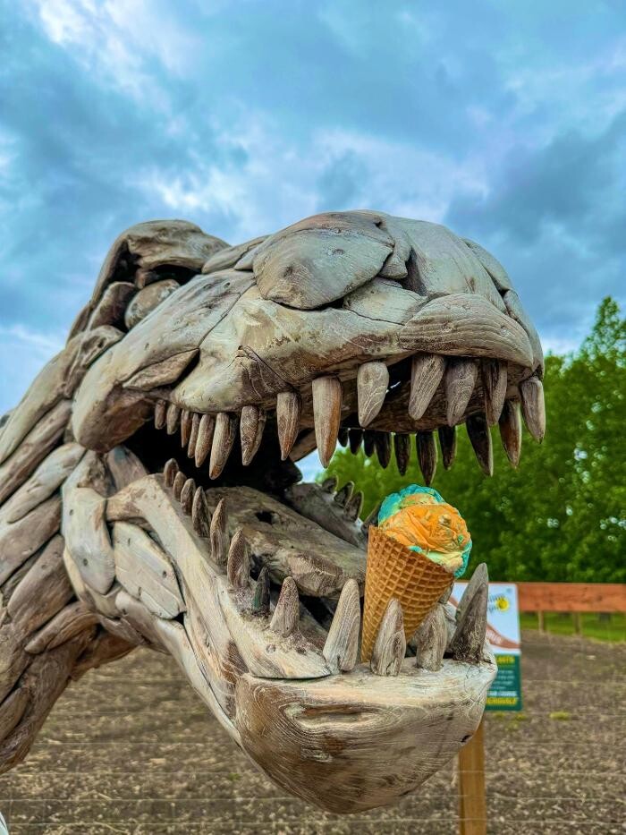 Images The Sunny Spot