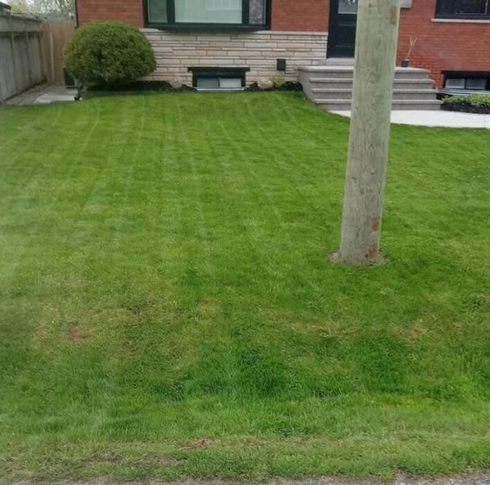 Images Zach's Lawn Care & Property Maintenance