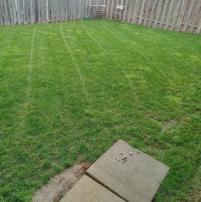 Images Zach's Lawn Care & Property Maintenance