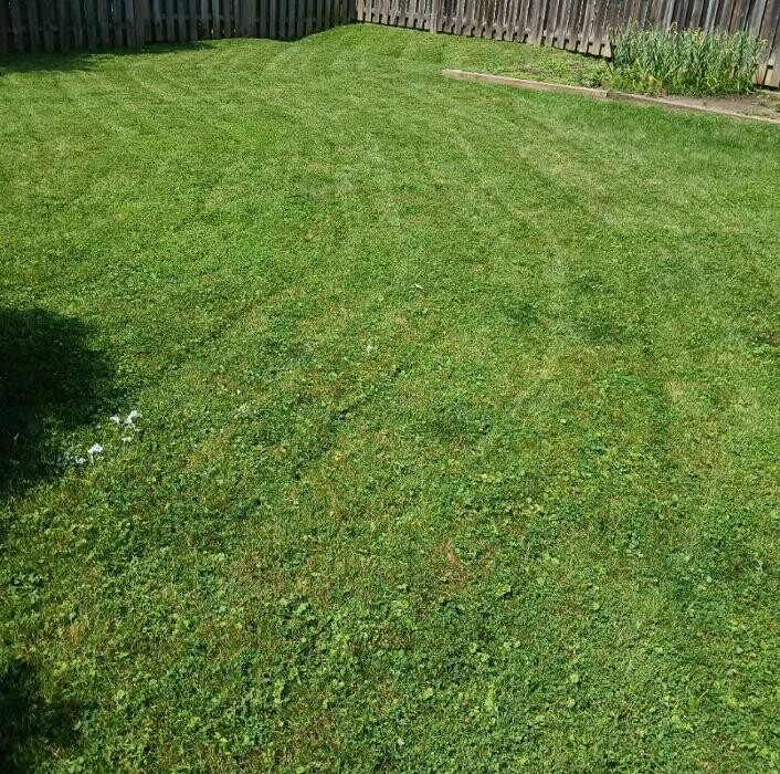 Images Zach's Lawn Care & Property Maintenance