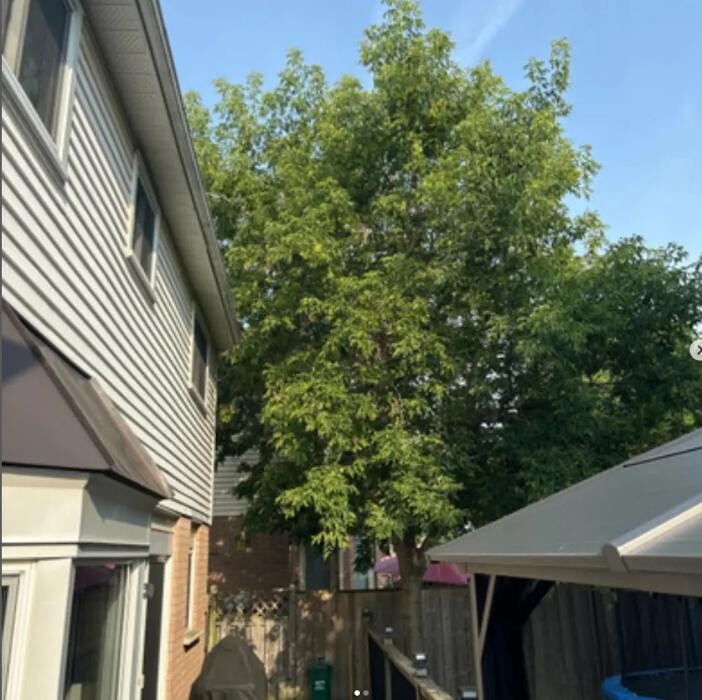 Images Zach's Lawn Care & Property Maintenance