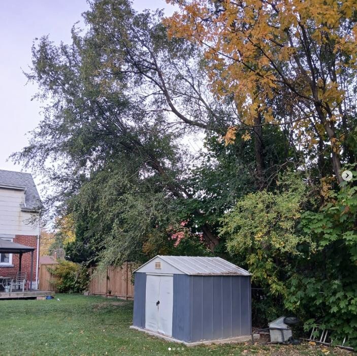 Images Zach's Lawn Care & Property Maintenance