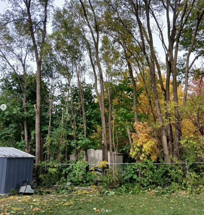 Images Zach's Lawn Care & Property Maintenance