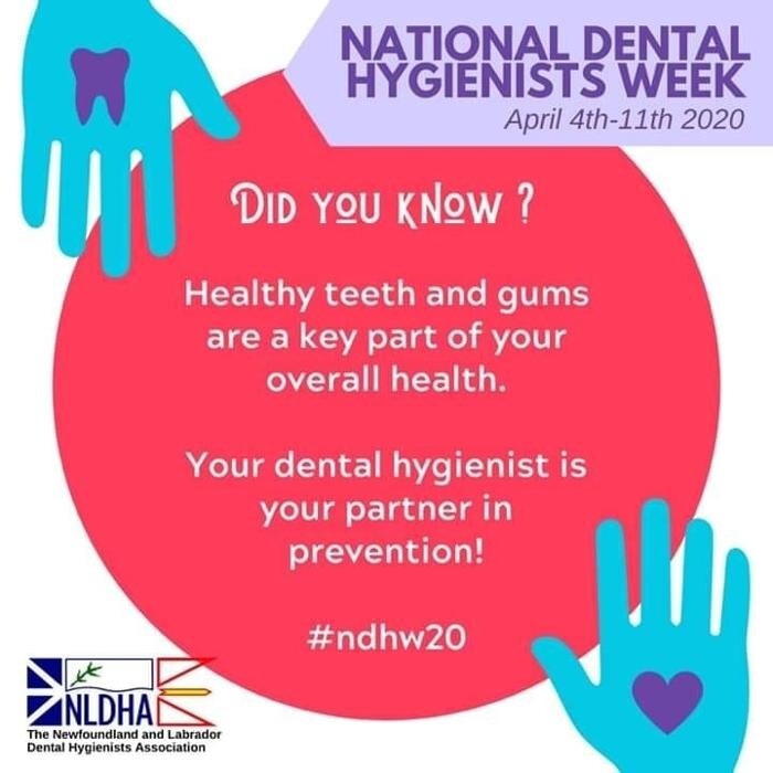 Images Stephenville Smiles Dental Hygiene Clinic