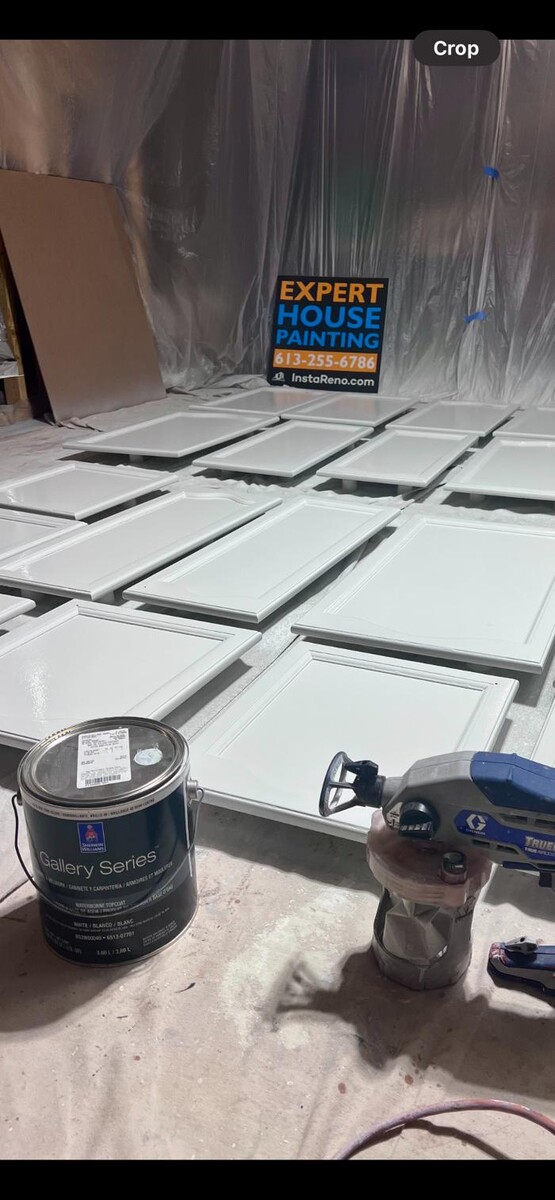 Images Insta Reno Painting