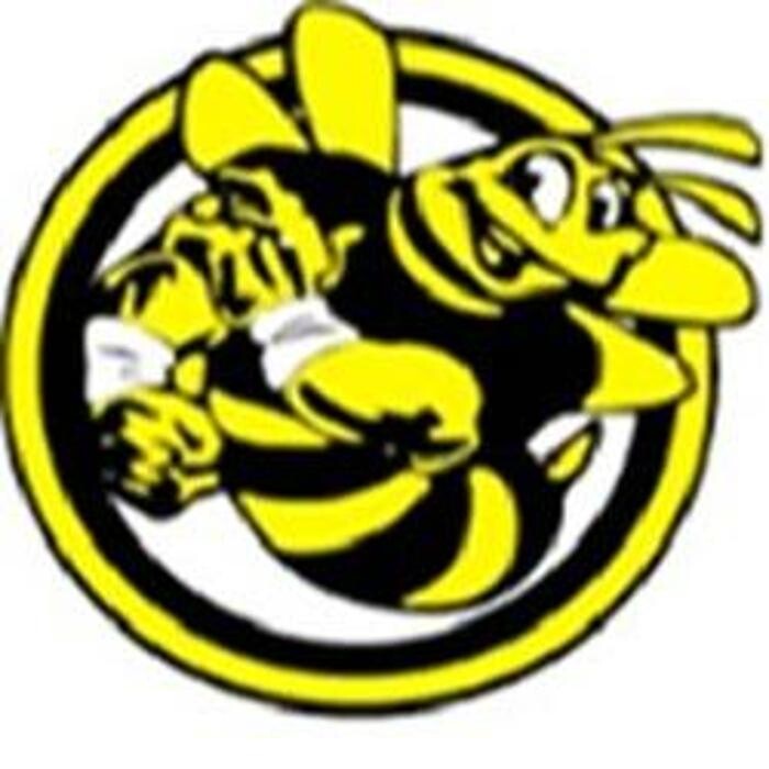 Buzz Box Liners & Truck Accessories Logo
