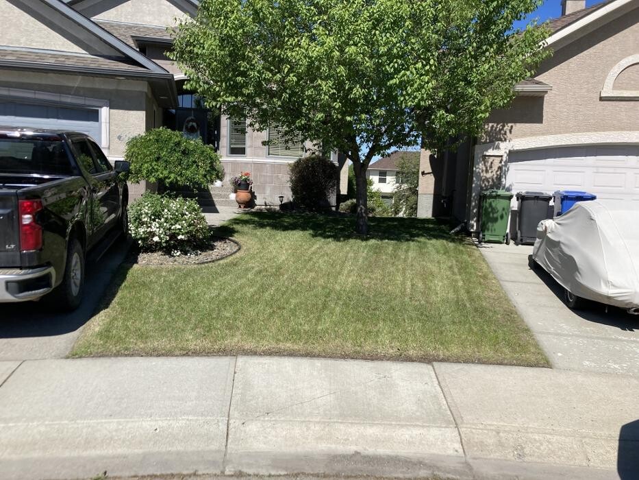 Images Scapeforce Corporation