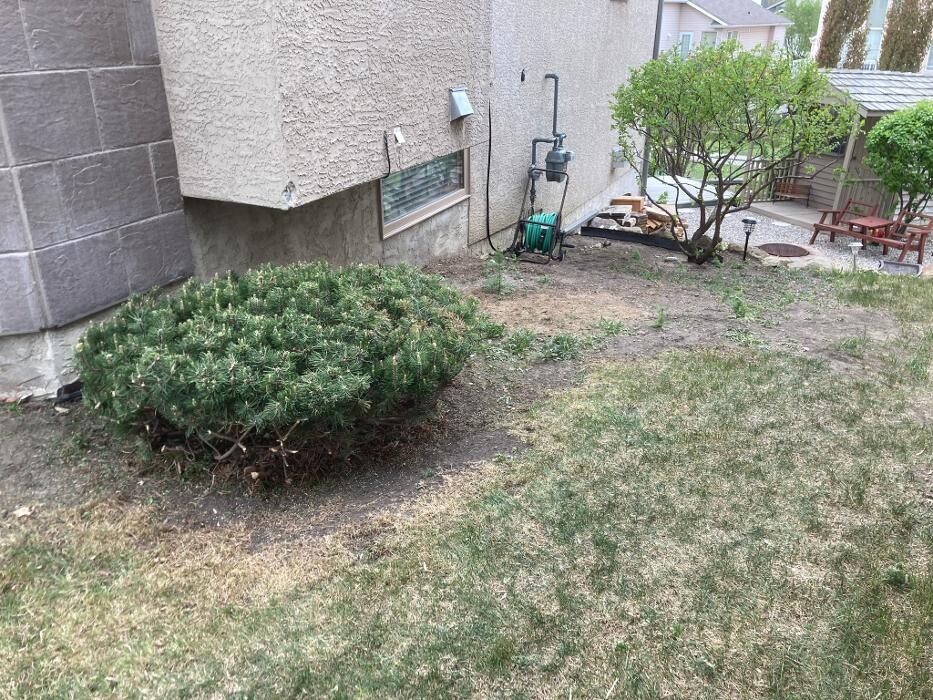 Images Scapeforce Corporation