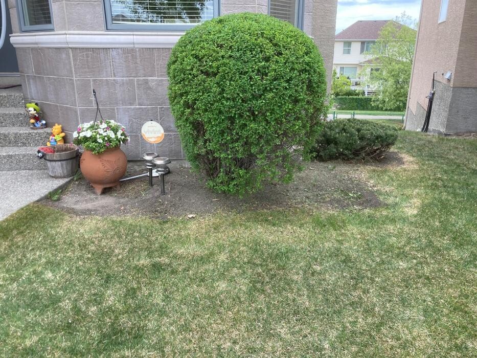 Images Scapeforce Corporation