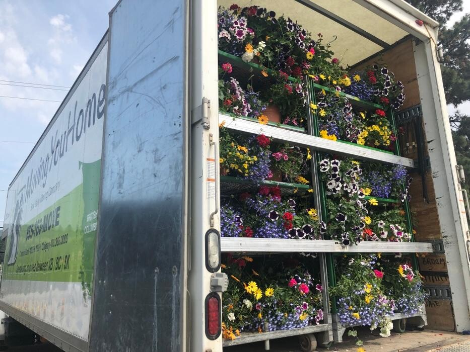 Images Bow Valley Moving Company (MovingYouHome.Com)