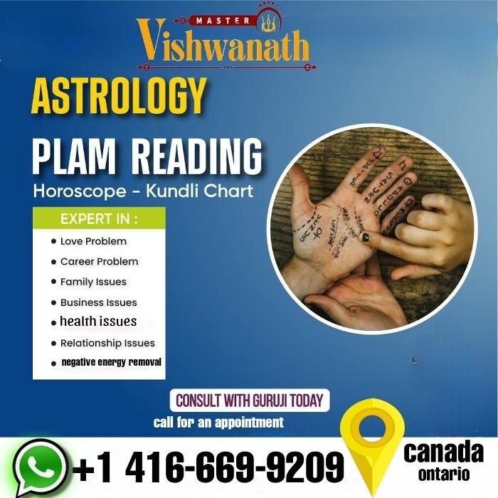 Images Astrologer & Spiritual Healer & Psychic - Master Vishwanath Guruji